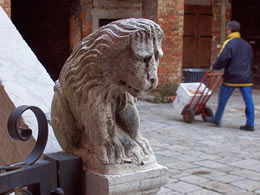 Small lion lost in thought