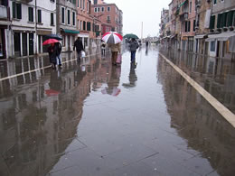 Reflections on rainy pavement
