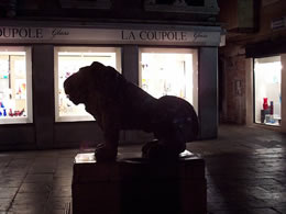 Leoncino on the Piazzetta, San Marco